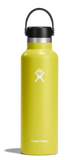 Hydro Flask Standard Mouth Cactus - 21oz