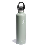 Hydro Flask Standard Mouth Agave - 24oz