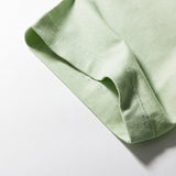The North Face Men's Short Sleeve Places We Love T-Shirt Misty Sage